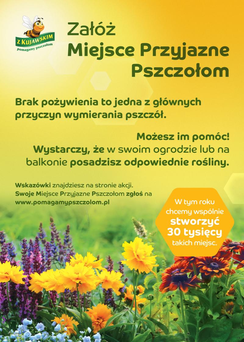 Załóż Miejsce Przyjazne Pszczołom.