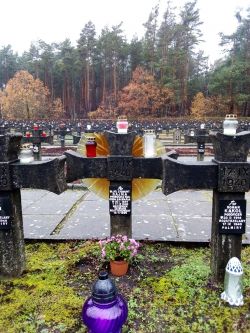 Lekcja historii dla uczniów z Zespołu Placówek Edukacyjnych w Muzeum w Palmirach.