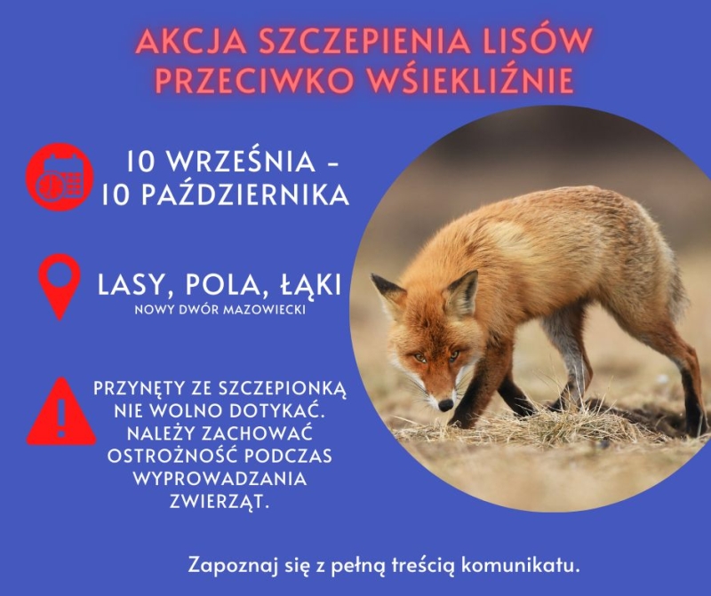 10 września - 10 października akcja szczepień lisów...