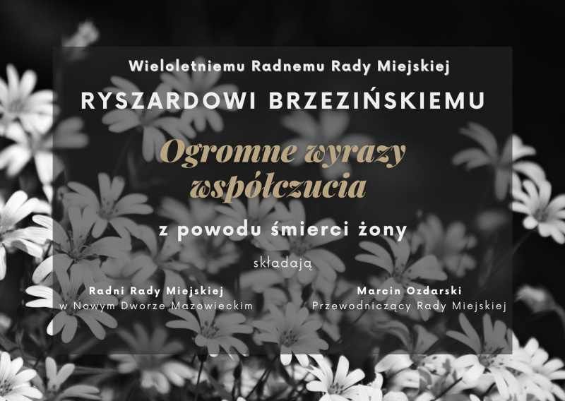 Kwiaty z białymi płatkami na czarnym tle.