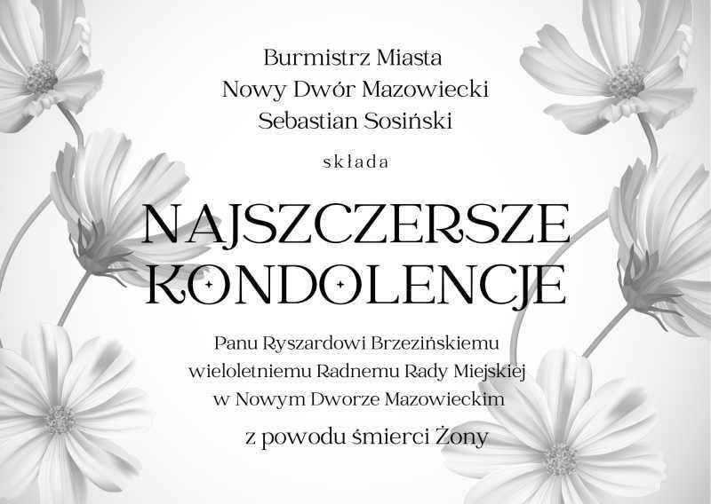 Sześć kwiatków z biało-szarymi płatkami.