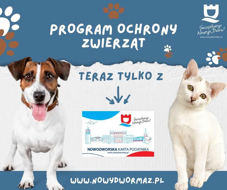 Biało-brązowy pies i biały kot.