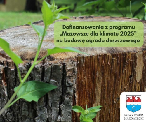 Zielone gałązki wokół ściętego pnia drzewa.