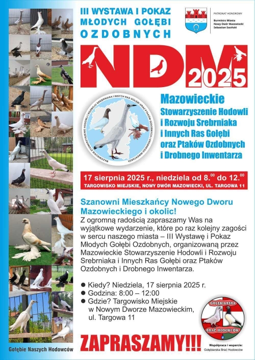 Kilkanaście różnokolorowych gołębi rasowych.