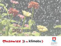 kwiaty w deszczu, poniżej logotypy