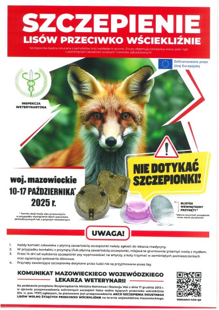 lis, informacje w formie graficznej