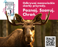 łoś, kod qr, na górze na różowym tle białe napisy