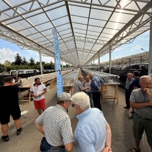 Rozmawiający mężczyźni stojący przed kilkudziesięcioma klatkami z gołębiami.