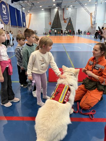 Hala sportowa, dzieci zebrane na hali, zajęcia sportowe oraz z udzielania pierwszej pomocy