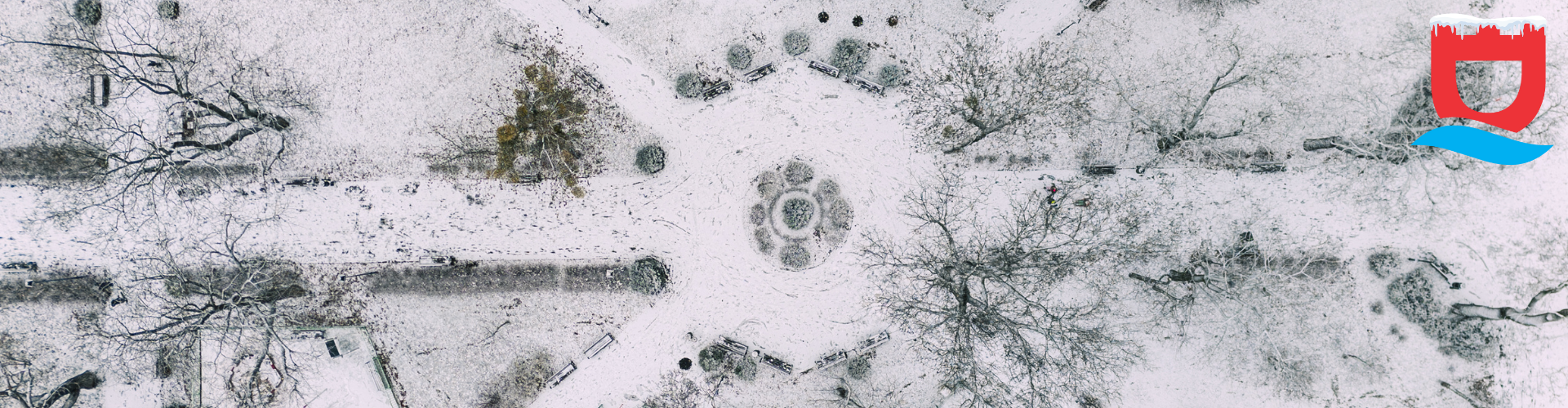 widok z góry na zaśnieżony park