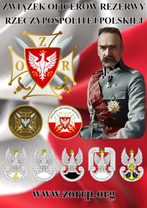 Mężczyzna w mundurze wojskowym, odznaczenie, naszywki i orzełki wojskowe.