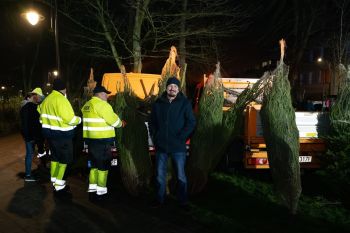 udekorowany skwer, scena, występy, osoby biorące udział w spotkaniu, poczęstunek, karuzela, żywa szopka