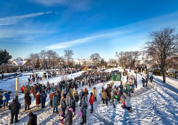 park miejski, zebrani mieszkańcy, zimowa sceneria, zdjęcie z drona