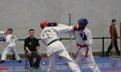 hala sportowa, młodzież ubrana w stroje do taekwondo, zawody, zebrani uczestnicy