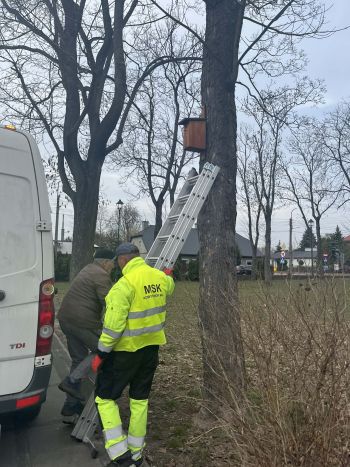 mieszkaniec wraz z pracownikiem MSK, jedna osoba wchodzi po drabinie