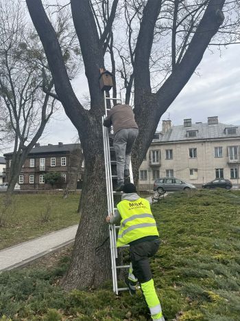 mieszkaniec wraz z pracownikiem MSK, jedna osoba wchodzi po drabinie