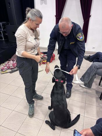 szkolenie z udziałem psa