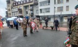 okolice pomnika marszała, sztandary ze szkół, zebrani goście, przemówienia, składanie kwiatów i wspólne zdjęcie