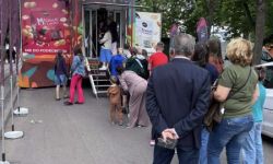 park miejski, atrakcje dla dzieci, namioty promocyjne, strefa gastro, występy na scenie