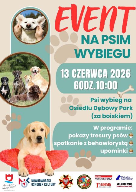 graficzna wersja informacji, plakat o evencie
