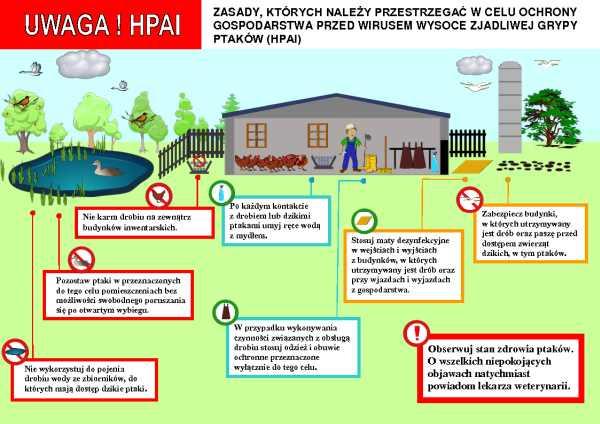 Uwaga! HPAI. Ptaki lecące na niebie. Ptaki siedzące na drzewach. Kaczka pływająca w stawie. Mężczyzna w roboczym stroju w kurniku z kurami.