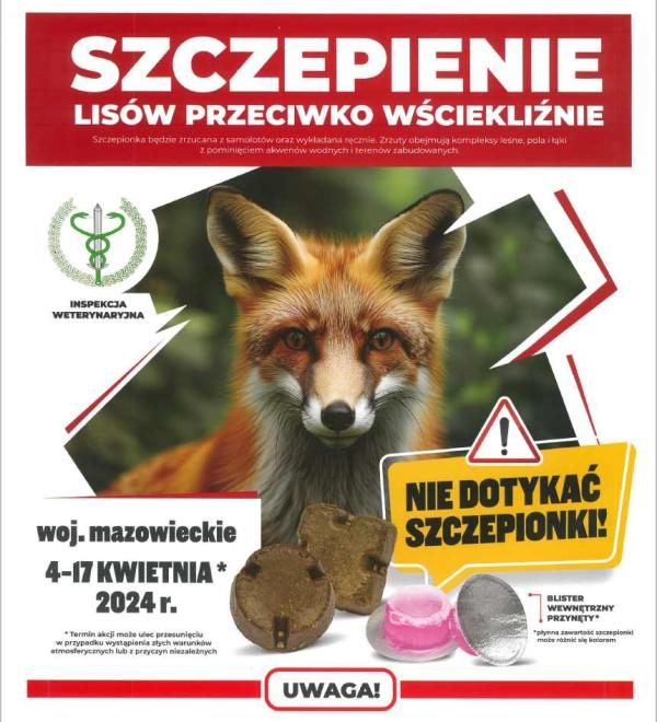 Lis i szczepionki szczepionki przeciw wściekliźnie.