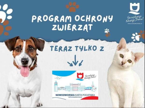 Biało-brązowy pies i biały kot.
