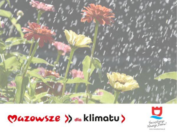 Budowa ogrodu deszczowego przy ul. Inżynierskiej i ul. Chemików