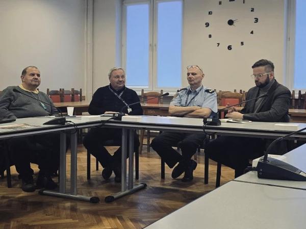 Dziki na terenie Miasta