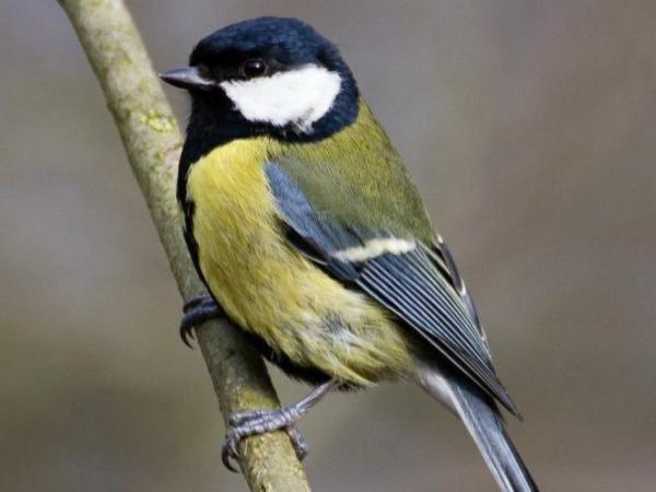 Podziękowania dla naszego Mieszkańca