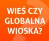 Wieś czy globalna wioska?