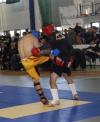 Turniej Tygrys Cup 2013