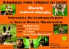 Otwarty weekend adopcyjny