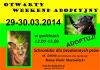 Otwarty weekend adopcyjny