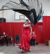 Koncert flamenco