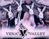 Vena Valley