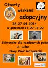 Otwarty weekend adopcyjny