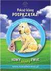 Sprzątanie po psie to nie tylko dobra wola