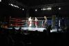 MMA i K1 w NDM