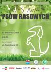 Wiosenna wystawa psów rasowych