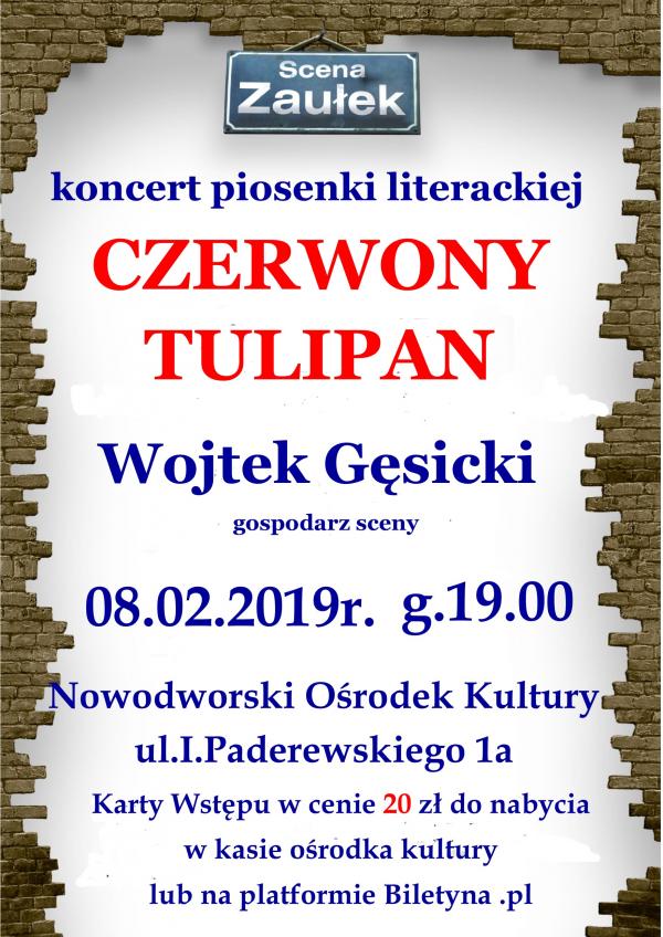 Czerwony Tulipan w Zaułku