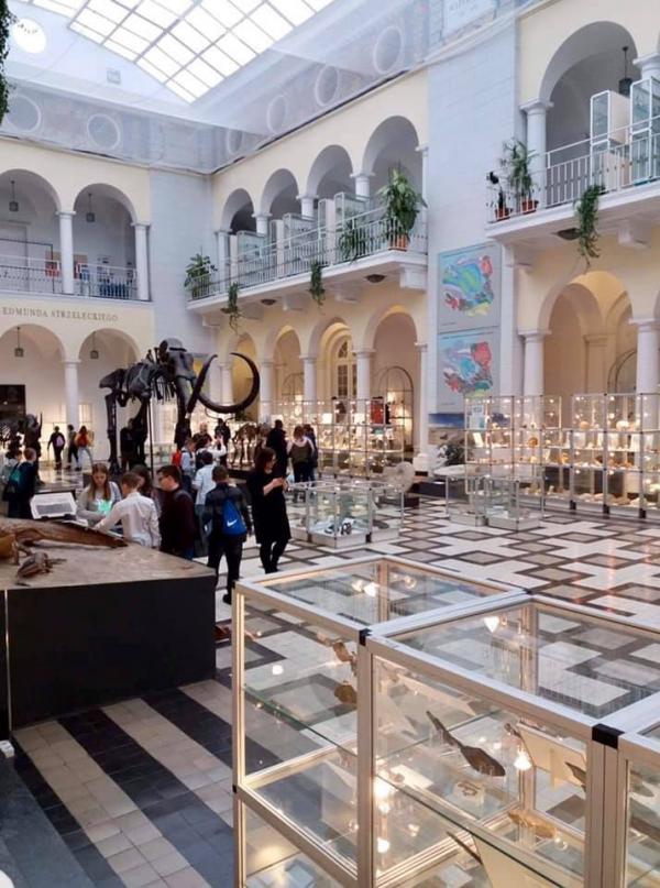Klasy 5 w Muzeum Geologicznym
