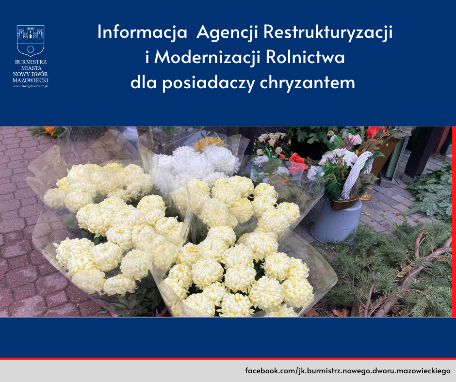 Informacja ARiMR dla posiadaczy chryzantem - infografika