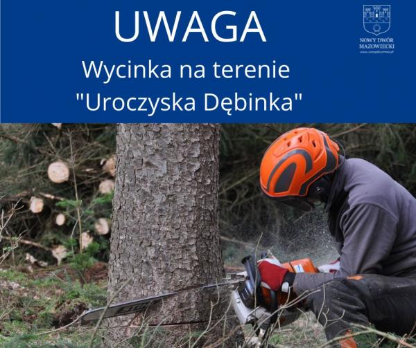 Prace leśne na terenie "Uroczyska Dębinka"