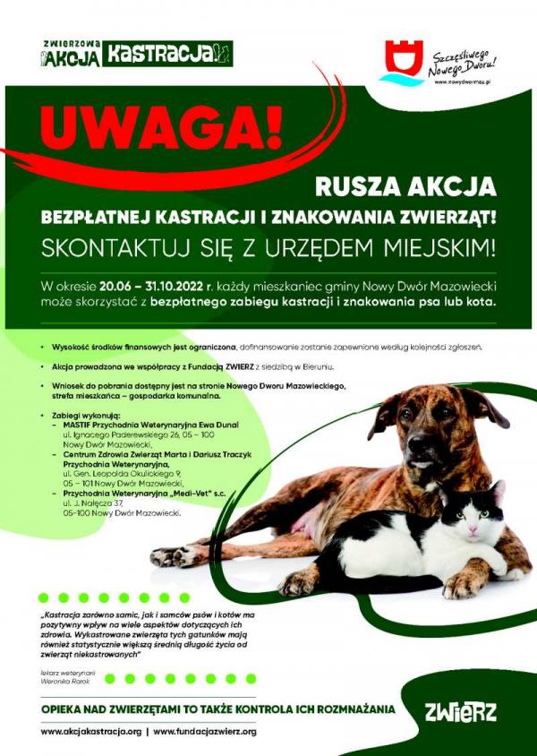W okresie 20.06-31.10.2022 r. każdy mieszkaniec gminy Nowy Dwór Mazowiecki może skorzystać z bezpłatnego zabiegu kastracji i znakowania psa lub kota.
